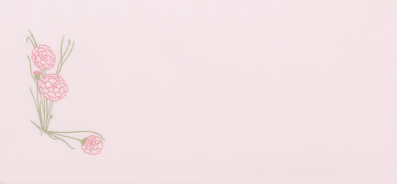 HP-519 Carnation